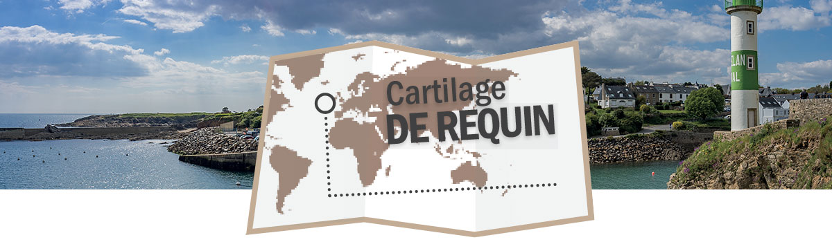 Cartilage de requin